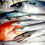 【みのや総合水産】南房総の鮮魚詰め合わせ