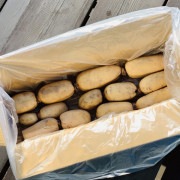 【高橋れんこん】サラダれんこん4kg