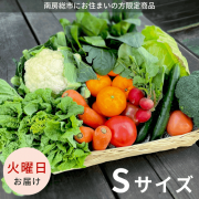 【火曜日お届け】季節の野菜セット Sサイズ
