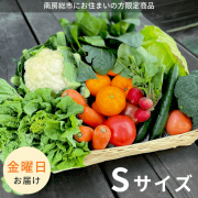 【金曜日お届け】季節の野菜セット Sサイズ