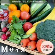 【火曜日お届け】季節の野菜セットMサイズ