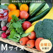 【金曜日お届け】季節の野菜セットMサイズ