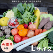 【火曜日お届け】季節の野菜セットLサイズ