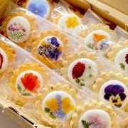【花菓子PETAL】南房総まるごとクッキー12入