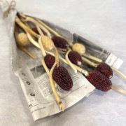 【ドライフラワー】ストロベリーコーン（MIX）10本束