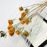 【ドライフラワー】ひまわり（オレンジ・イエローMIX）12本束