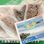 【東安房漁協】房州産地魚フィレ詰合せ