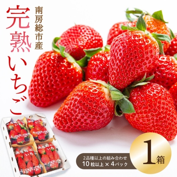 南房総市産 完熟いちご食べ比べセット（4パック2品種以上入）