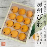 房州ハウスびわ4L（1箱：12粒入）