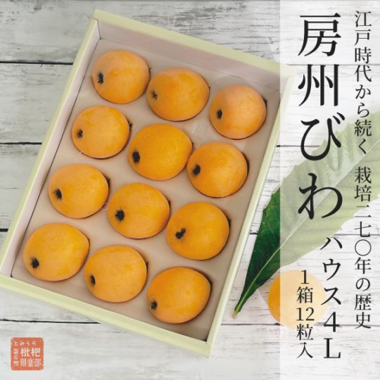 房州ハウスびわ4L（1箱：12粒入）