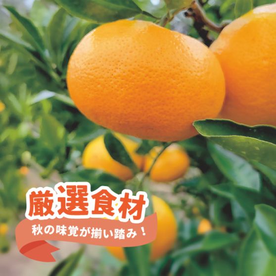 南房総旬野菜のまほろばBOX《中秋編》南房総三芳村で栽培＊匠の温州みかん