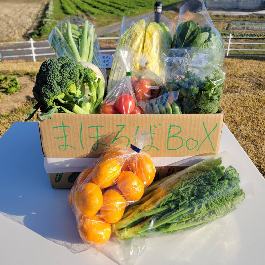 旬野菜のまほろばBOX《早春編》
