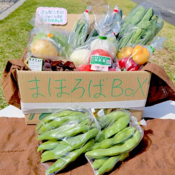 旬野菜のまほろばBOX《初夏編》