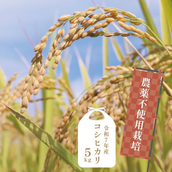 【蛍まい研究会】R7年千葉県産 農薬不使用栽培コシヒカリ5kg
