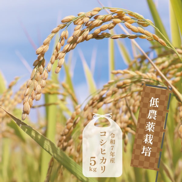 【蛍まい研究会】R7年千葉県産 低農薬栽培コシヒカリ5kg