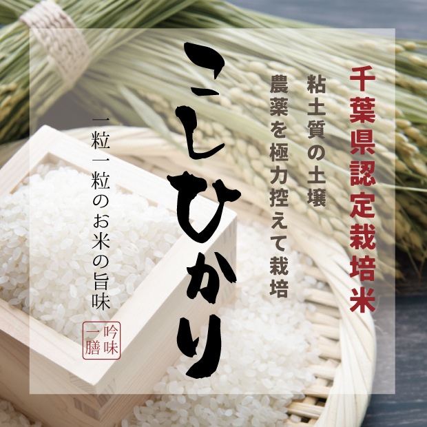 《R8年度産：新米》千葉県認定栽培米 コシヒカリ5㎏【Live視聴者 送料込 数量限定販売】