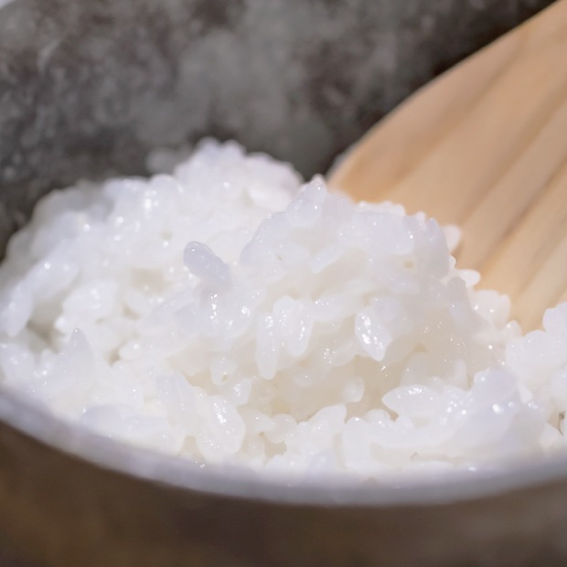 《R8年度産：新米》千葉県認定栽培米 コシヒカリ5㎏【Live視聴者 送料込 数量限定販売】