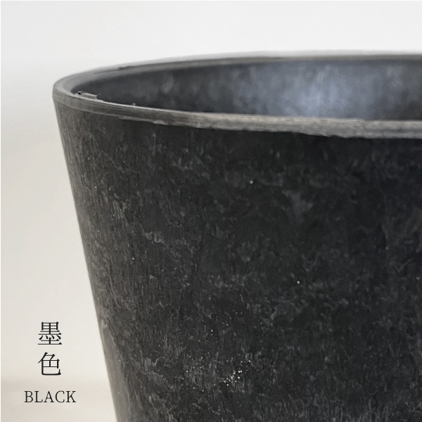 【小型観葉】ヘデラ(アイビー)・ムーンライト S*Plants