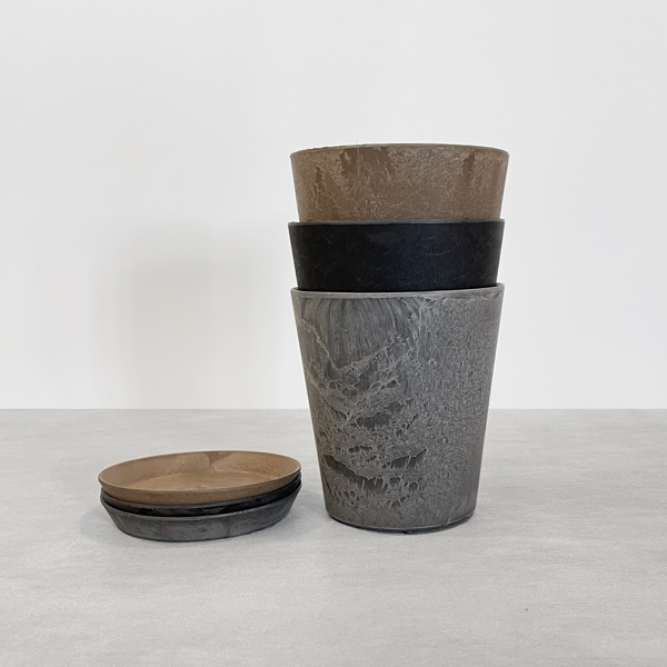 【小型観葉】ヘデラ アイビー・サーク S*Plants