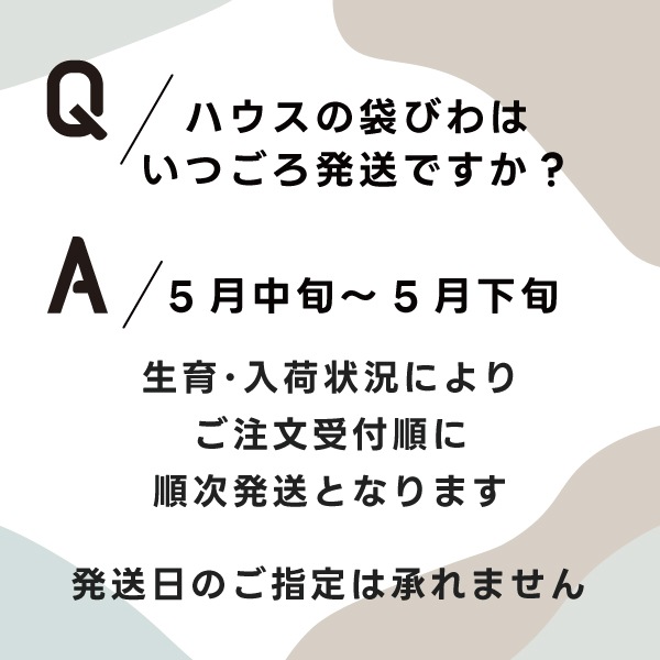 【数量限定】生稲農園の袋びわ（ハウス）1kg