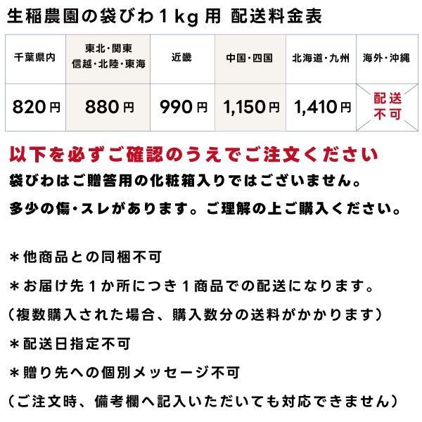 【数量限定】生稲農園の袋びわ（ハウス）1kg