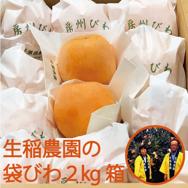 【数量限定】生稲農園の袋びわ（ハウス）2kg