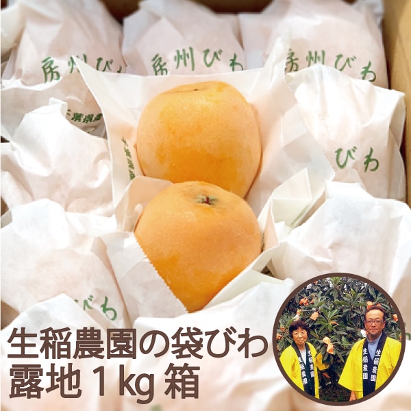 生稲農園の袋びわ（露地）1kg