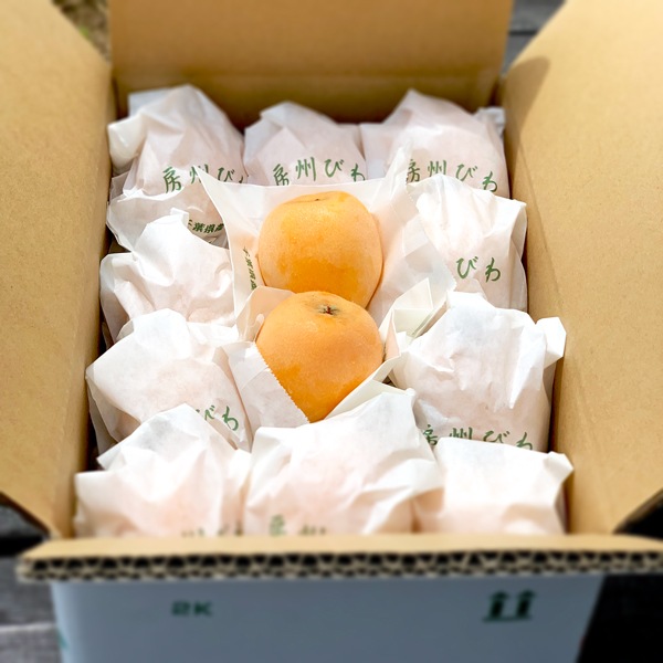 【限定】生稲農園の袋びわ（露地）2kg