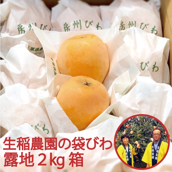 【限定】生稲農園の袋びわ（露地）2kg
