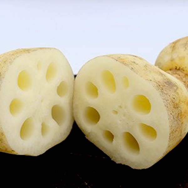 【高橋れんこん】サラダれんこんAセット