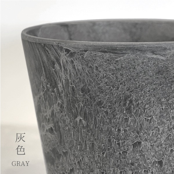 【小型観葉】ヘデラ アイビー・ホワイトダック S*Plants