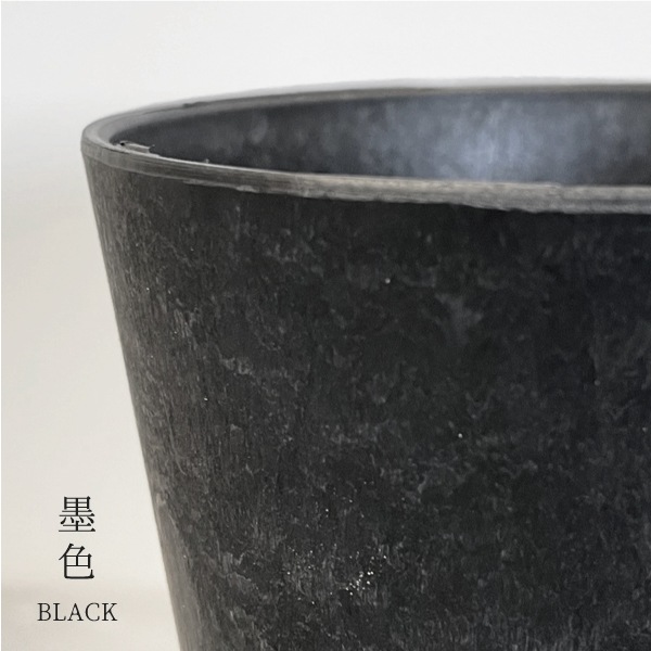 【小型観葉】ヘデラ アイビー・ホワイトダック S*Plants