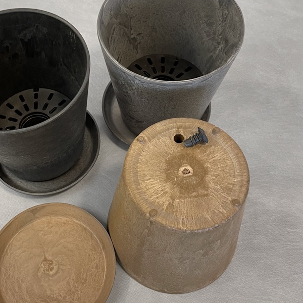 【小型観葉】ヘデラ アイビー・ホワイトダック S*Plants