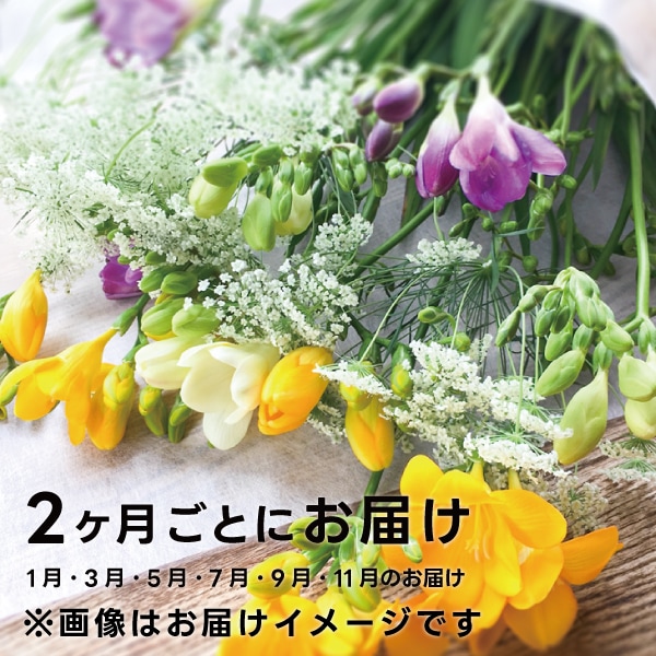 お花・ドライフラワー定期便【2ヶ月に1回お届けコース】 | 南房総いい