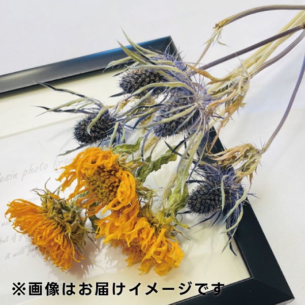 お花・ドライフラワー定期便【2ヶ月に1回お届けコース】