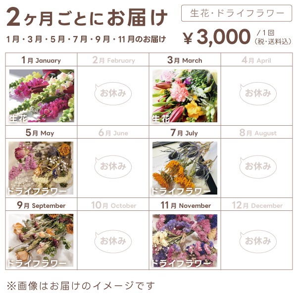 お花・ドライフラワー定期便【2ヶ月に1回お届けコース】