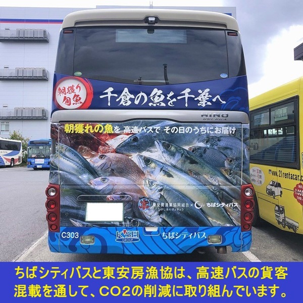 【東安房漁協】漁協直送 旬の地魚詰合せ(数人前または高級魚)