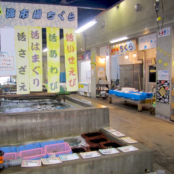 【東安房漁協】漁協直送 旬の地魚詰合せ(数人前または高級魚)