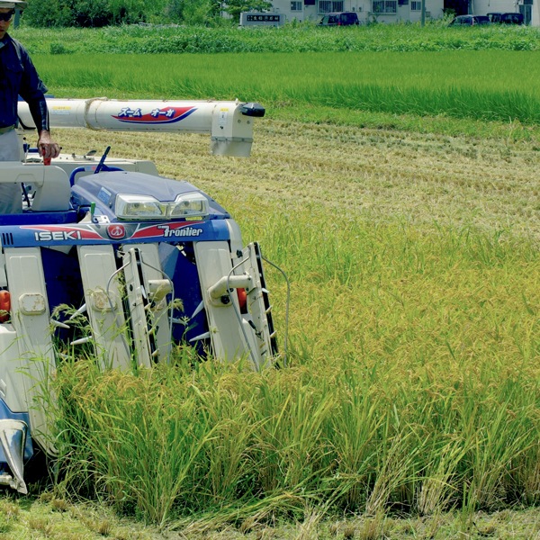 【蛍まい研究会】R7年千葉県産 農薬不使用栽培コシヒカリ5kg