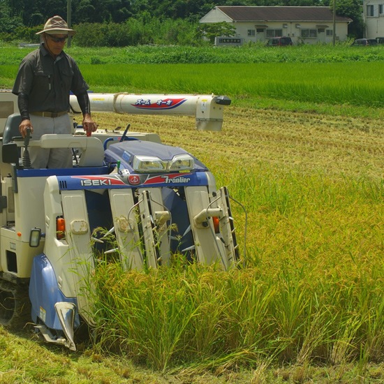 【蛍まい研究会】千葉県産 低農薬栽培コシヒカリ5kg袋ｘ2