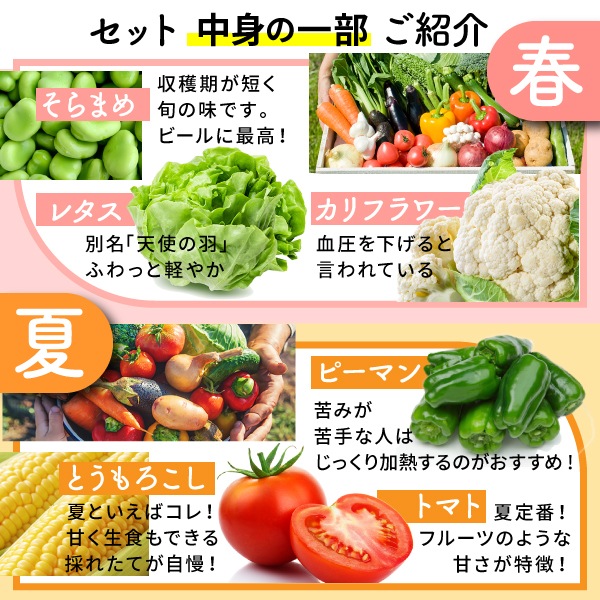 【金曜日お届け】季節の野菜セット Sサイズ