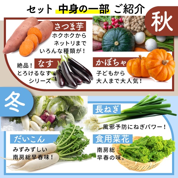 【火曜日お届け】季節の野菜セットMサイズ