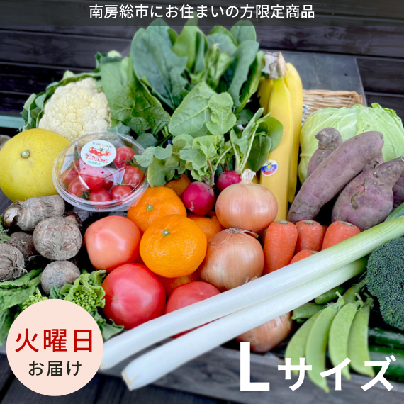 【火曜日お届け】季節の野菜セットLサイズ