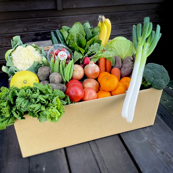 【火曜日お届け】季節の野菜セットLサイズ