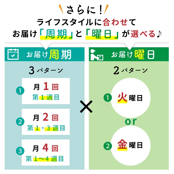 【火曜日お届け】季節の野菜セットLサイズ