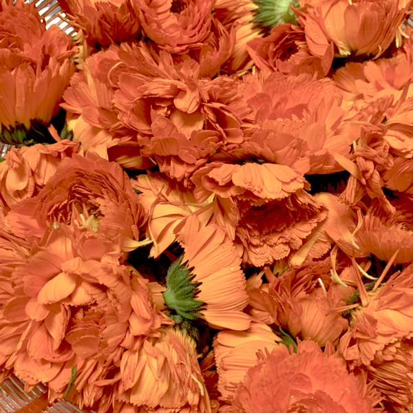 カレンデュラハーブ蒸しセット