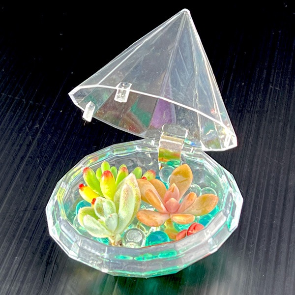 キラキラジュエルボックス3個セット