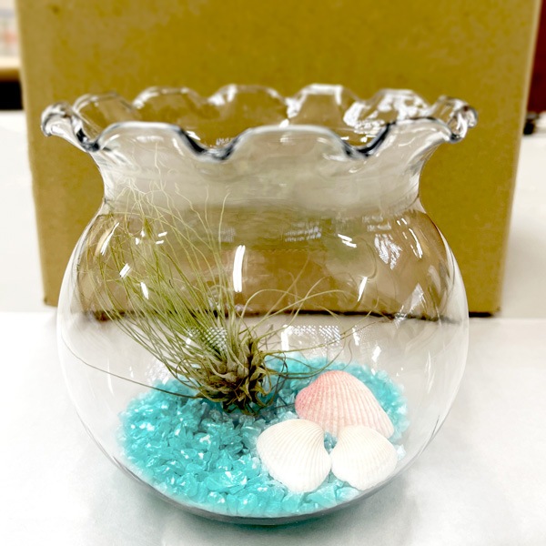 ・受付中・　海　波　エアープランツ　リメ缶　貝殻　貝　シェル　多肉　フルオーダー 受付中・ 海 波 エアープランツ リメ缶 貝殻 貝 シェル 多肉 フル