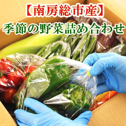 【グリーンアース】南房総産 季節の野菜詰め合わせ