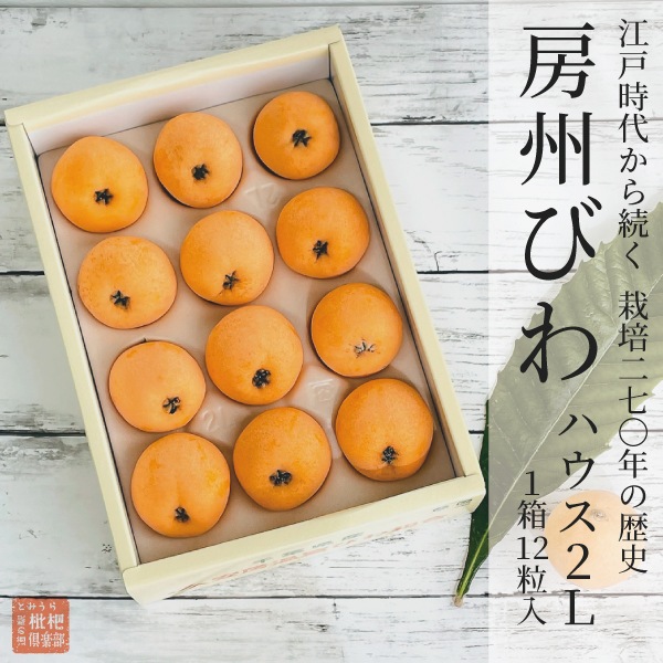 房州ハウスびわ2L（1箱：12粒入）